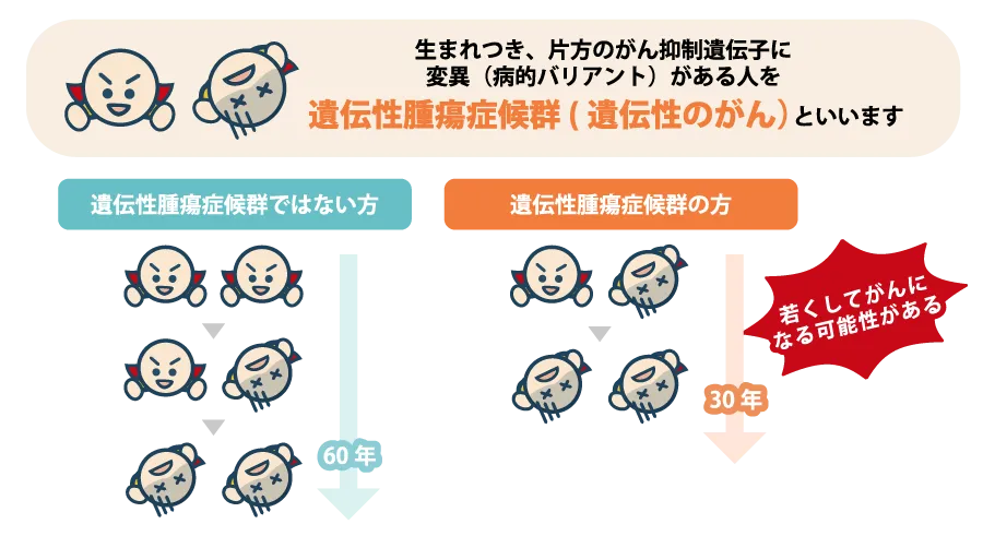生まれつき、片方のがん抑制遺伝子に変異(病的バリアント)がある人を遺伝性腫瘍症候群(遺伝性のがん)といいます