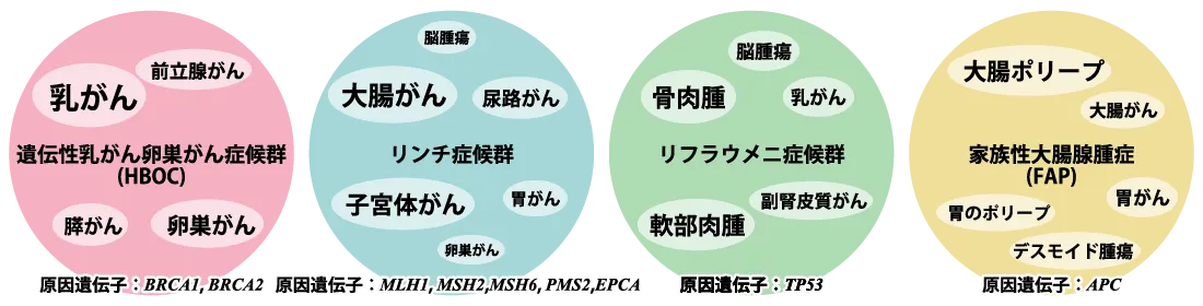 4つの遺伝性腫瘍病の説明図